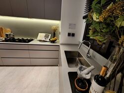 Terra Hill (D5), Apartment #394103561